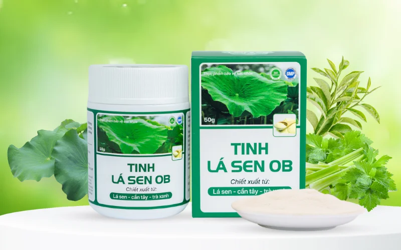 cách uống tinh lá sen ob