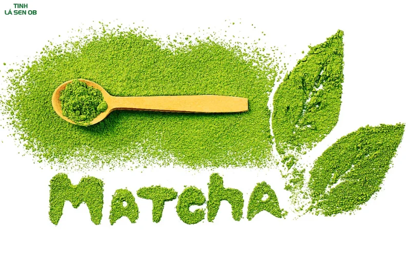 Công dụng của matcha trong việc giảm cân 