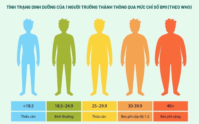 bang-chi-so-bmi cho biết mức độ béo phì hay bình thường