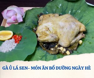 Gà ủ lá sen món ăn thanh nhiệt, giàu dinh dưỡng nên thưởng thức vào ngày hè