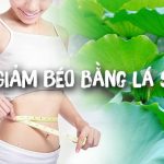 giảm cân bới lá sen có hiệu quả không