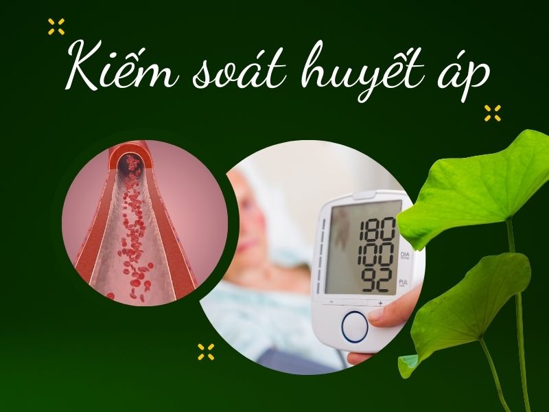 thành phần lá sen chứa nhiều flavonoid có tác dụng tốt hỗ trợ giảm huyết áp