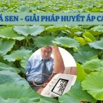 hình ảnh vườn sen và người bệnh huyết áp cao