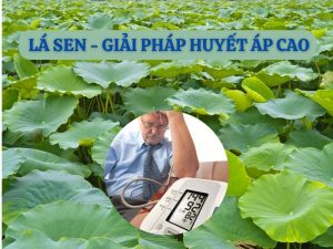 hình ảnh vườn sen và người bệnh huyết áp cao