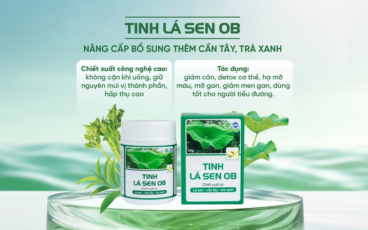 Tinh Lá Sen OB chiết xuất từ lá sen, cần tây, trà xanh giúp giảm cân hiệu quả