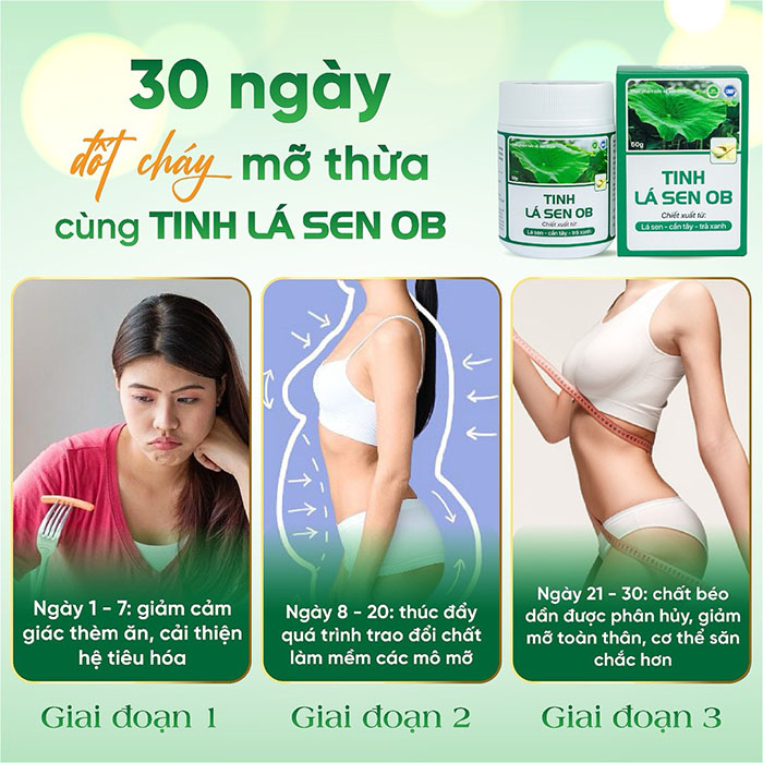 ảnh tinh lá sen ob