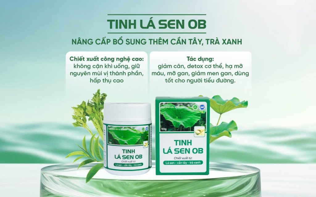 Tinh Lá Sen OB bản nâng cấp với cần tây và trà xanh mang đến hiệu quả sử dụng cao hơn