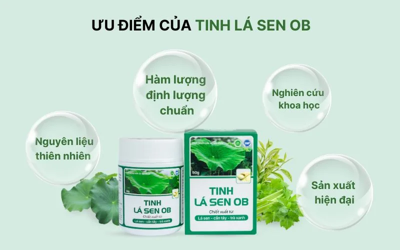 Tinh lá sen OB với nhiều ưu điểm vượt trội