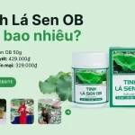 Giá Tinh lá sen OB la-bao-nhieu