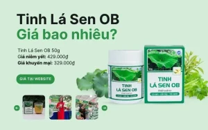 Giá Tinh lá sen OB la-bao-nhieu