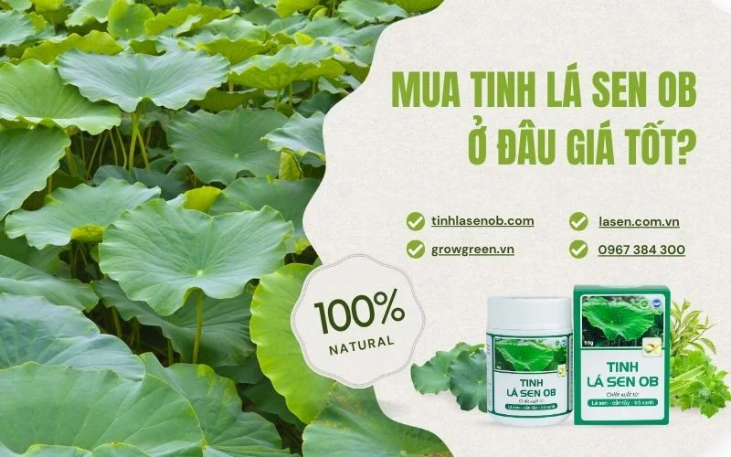 Mua Tinh lá sen OB chất lượng, giá tốt nhất tại webisite và fanpage chính hãng