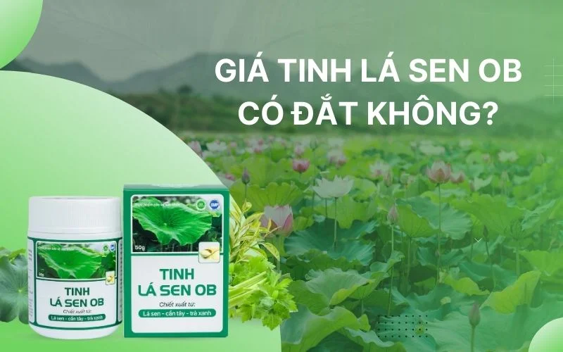 Giá Tinh lá sen OB có đắt không