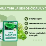 Mua Tinh Lá Sen OB ở đâu uy tín, chất lượng & giá tốt nhất