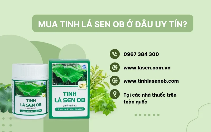 Mua Tinh Lá Sen OB ở đâu uy tín, chất lượng & giá tốt nhất