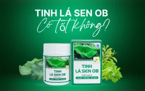 Tinh Lá Sen OB có tốt không? Đánh giá từ chuyên gia