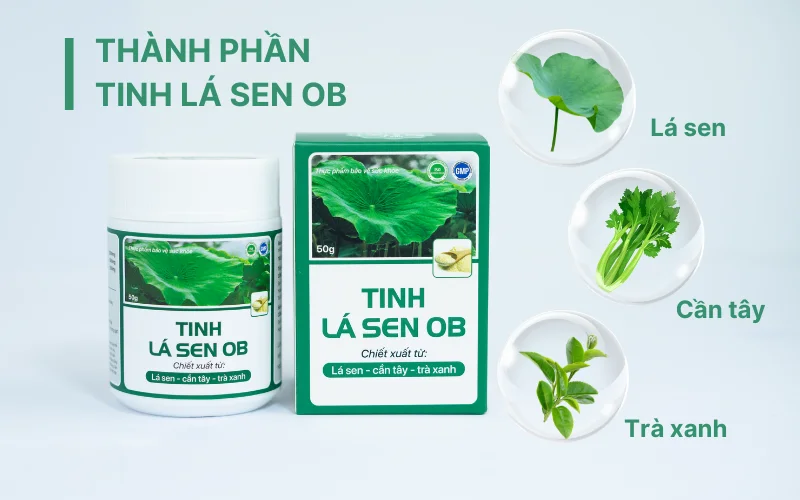 Tinh lá sen 100% từ thành phần các thảo mộc tự nhiên