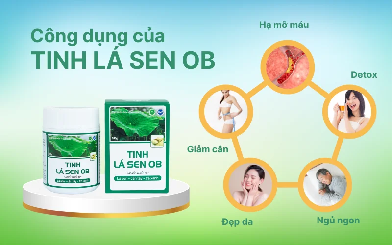 Tinh lá sen OB mang lại nhiều công dụng tốt cho sức khỏe