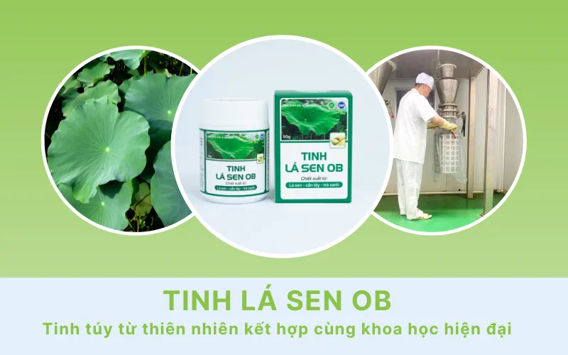 công nghệ phun sấy li tâm sản xuất tinh lá sen ob