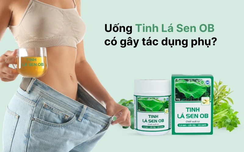 Uống Tinh lá sen OB có tác dụng phụ không?