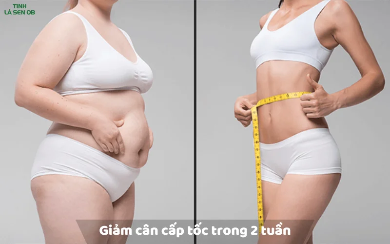 Cách giảm cân cấp tốc trong 2 tuần "Lột Xác Bất Ngờ" 