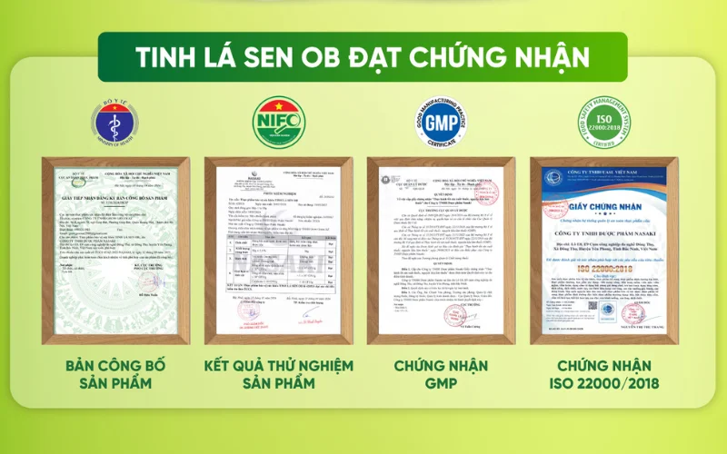 giấy chứng nhận tinh lá sen ob đạt chuẩn chất lượng