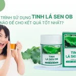 Liệu trình sử dụng Tinh Lá Sen OB thế nào để kết quả tốt nhất