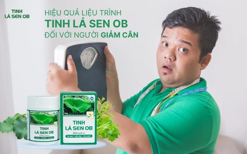 Liệu trình sử dụng tinh lá sen ob cho người muốn giảm cân