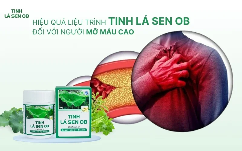 Liệu trình sử dụng tinh lá sen ob cho người mỡ máu cao