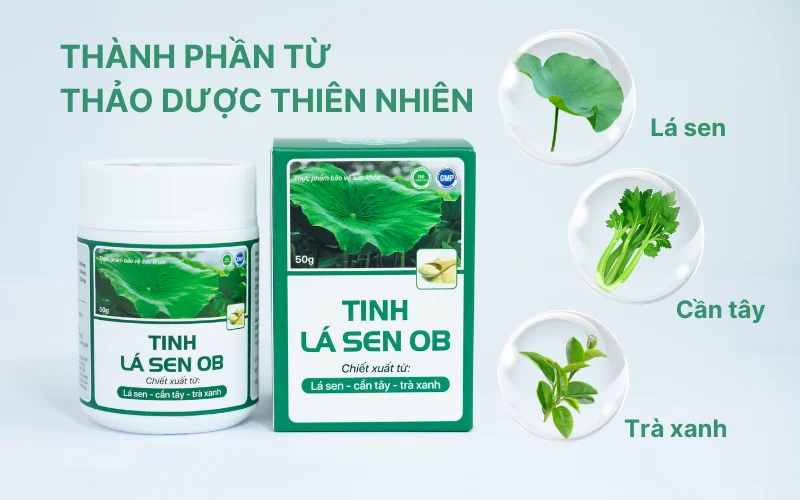 Thành phần Tinh lá sen OB 100% từ thảo dược lành tính