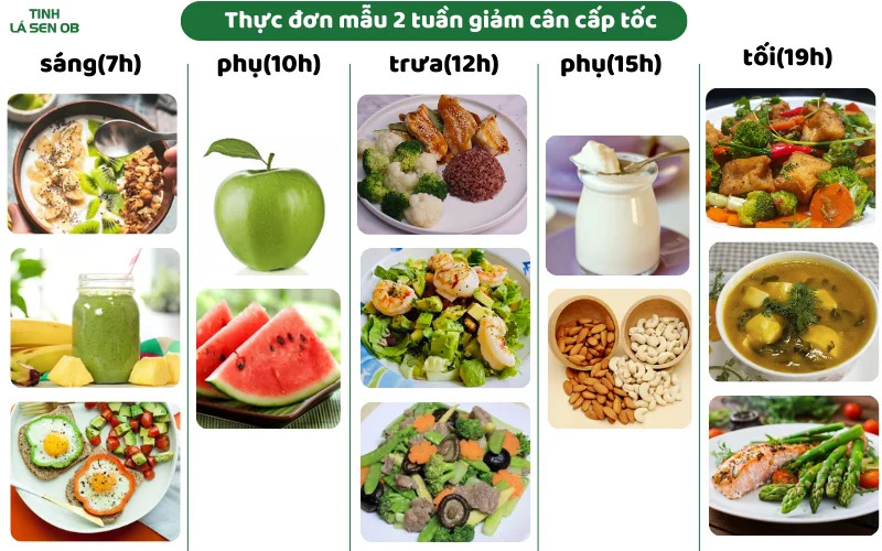 Thực đơn mẫu giảm cân cấp tốc trong 2 tuần