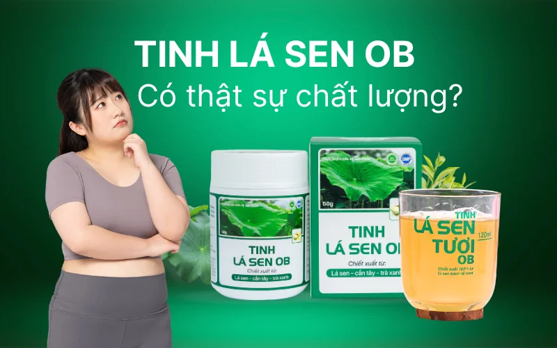 Tinh lá sen ob có thật sự chất lượng