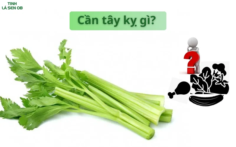 Cần tây kỵ gì?