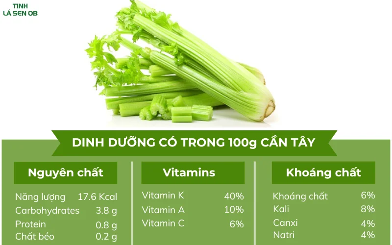 Thành phần dinh dưỡng có trong 100g cần tây